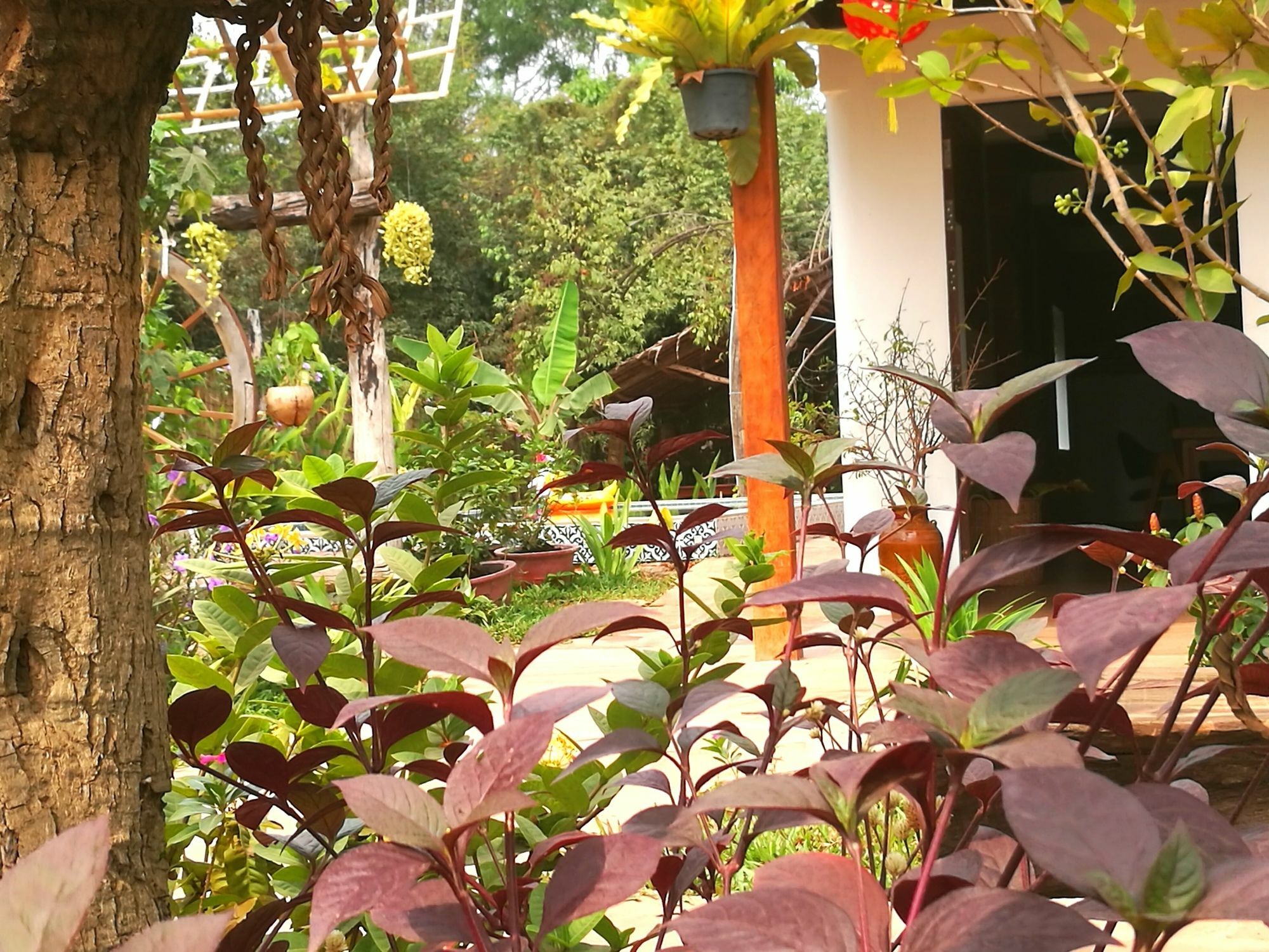 Angkor Dino B&B เสียมราฐ ภายนอก รูปภาพ